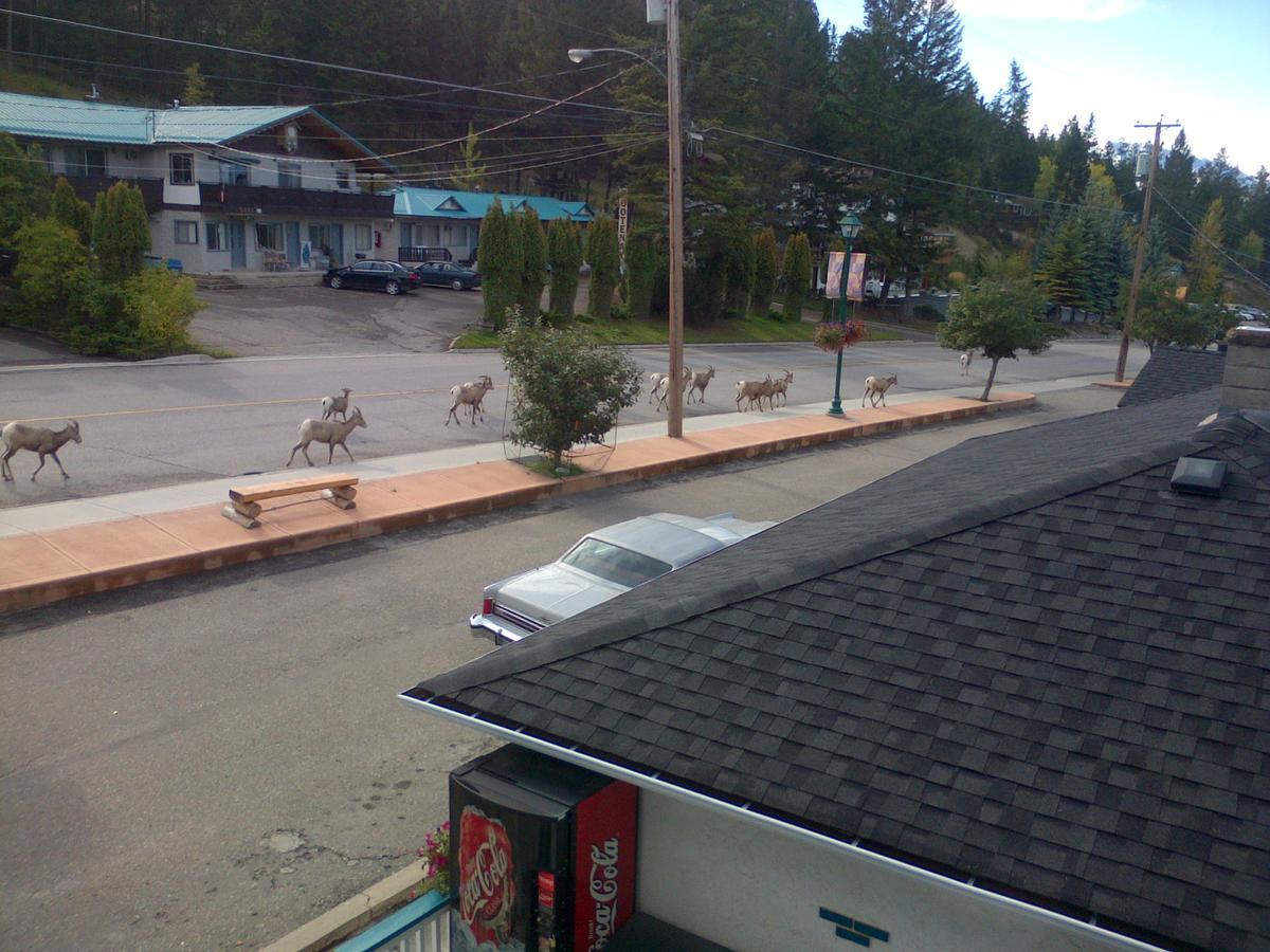 Appletree Inn Radium Hot Springs Exteriér fotografie
